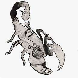 创意头像女人脸