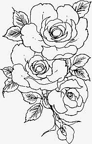 手绘花