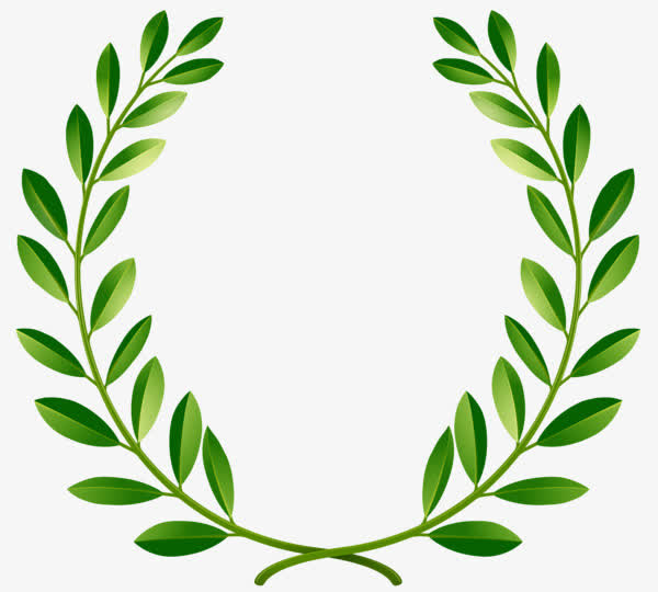 绿色和平橄榄枝