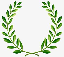 橄榄叶与小台芒图片素材