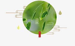 二十四节气谷雨