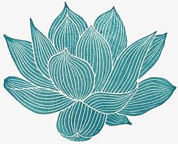 莲花手绘