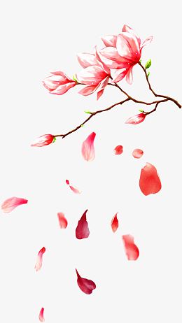 粉色挑花手绘稿图片素材