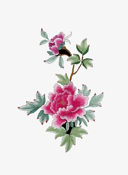 美丽刺绣花