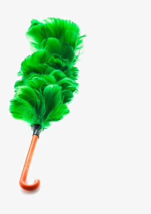 绿色鸡毛掸子素材免费下载_觅元素