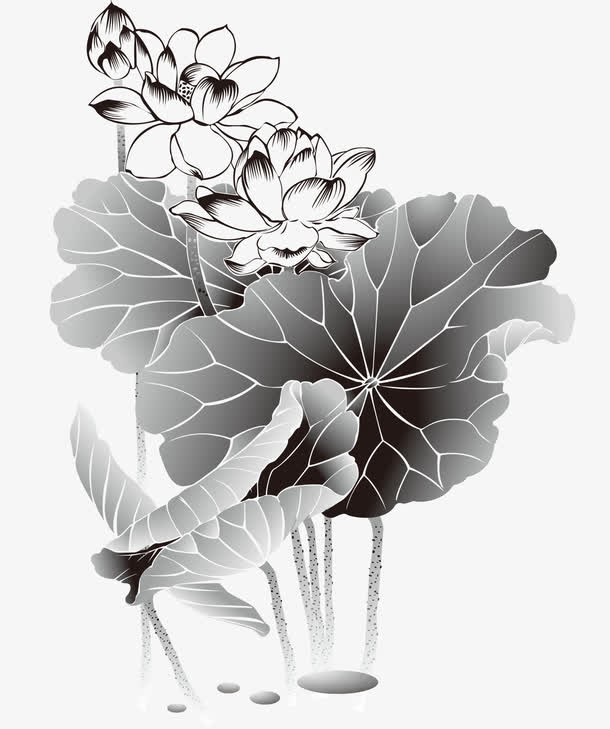 水墨荷花荷叶免扣素材