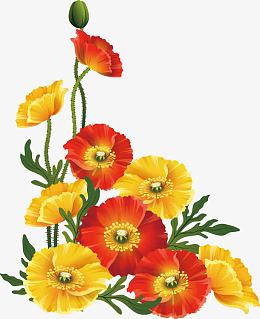 春暖花开
