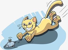 猫抓机械老鼠