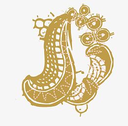 刺绣花纹矢量图