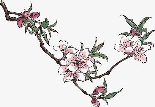 手绘图psdpng粉色水墨桃花枝装饰图案png垂柳花鸟图png中国古典国画