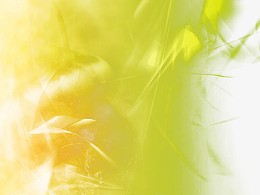 黄色秋季背景炫光图