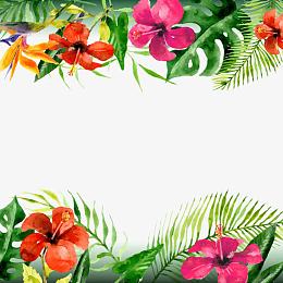 矢量夏季花卉