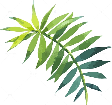 手绘水彩绿叶