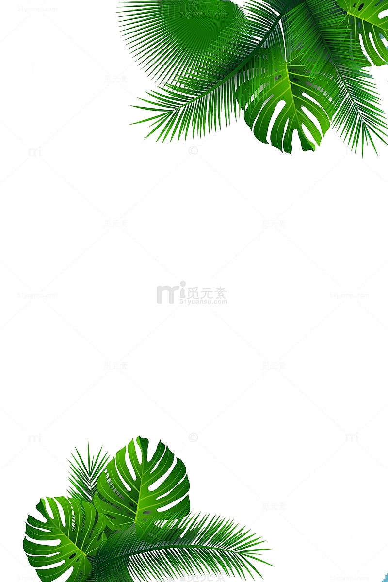 雨林大叶植物