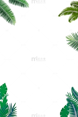 热带植物装饰边框