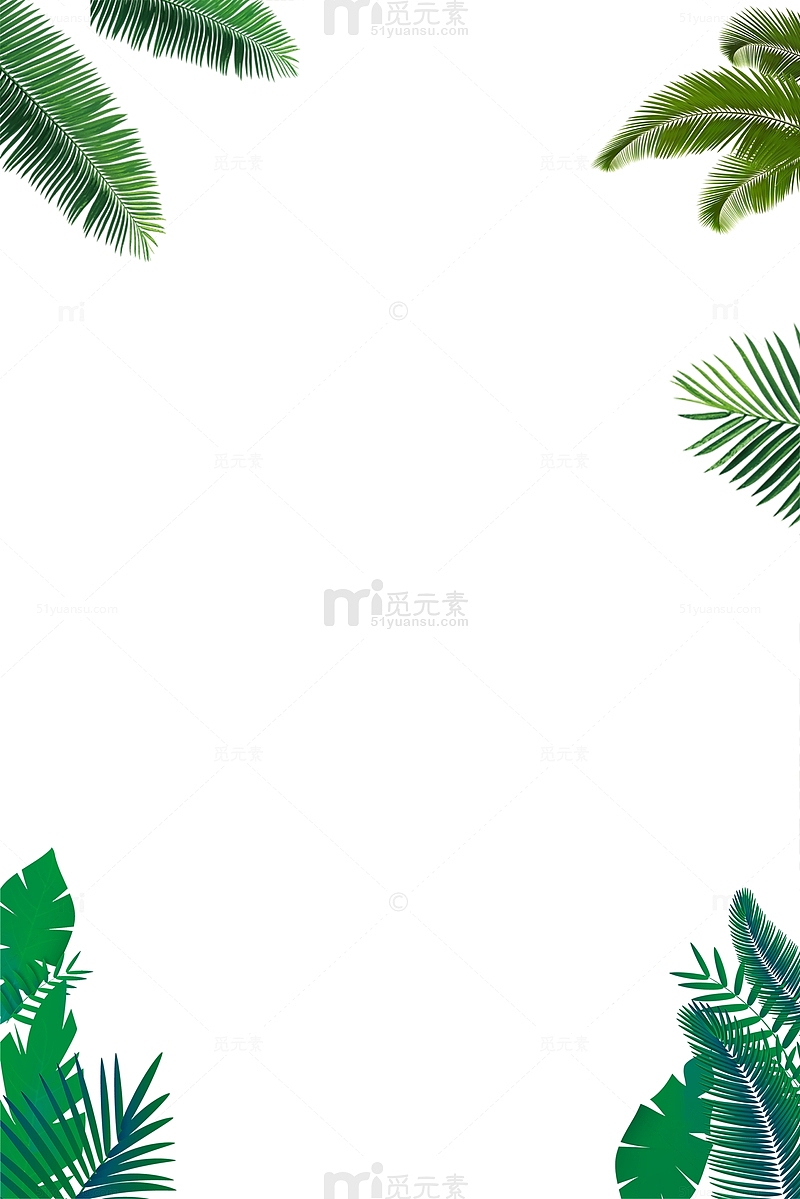 热带植物装饰边框