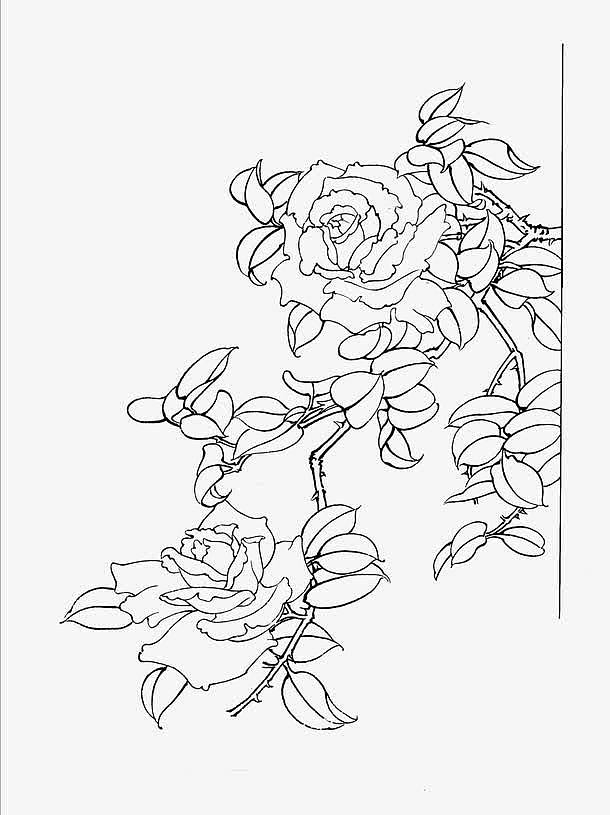 工笔画花卉