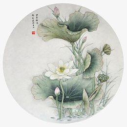 中国风荷花
