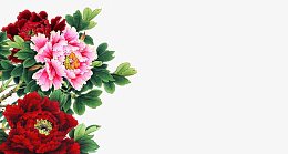 工笔花卉