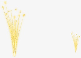 燃放烟花设计效果图