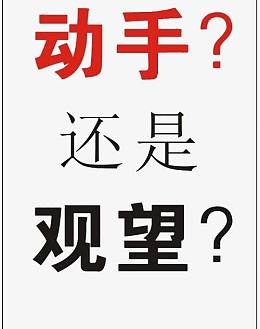 动手OR观望