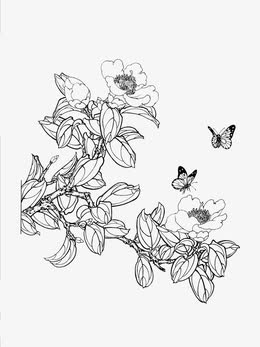 白描花设计元素 白描花免抠素材 觅元素51yuansu Com