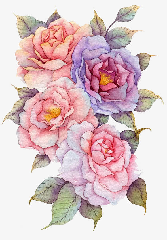 水彩手绘山茶花素材免费下载_觅元素