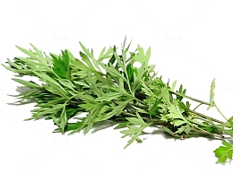端午节艾草