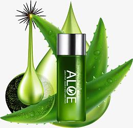 矢量芦荟植物护肤宣传