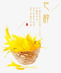 芒种一筐麦子海报