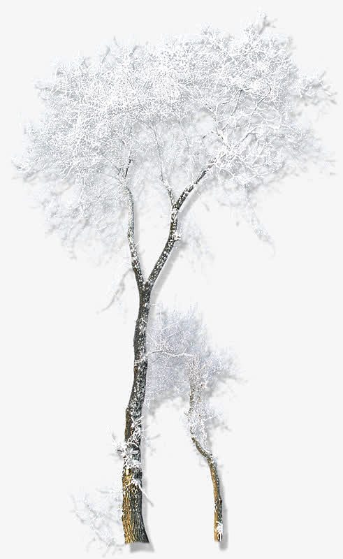 枯树枝雪花装饰