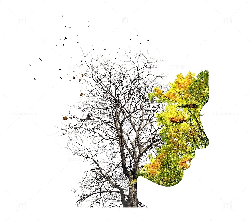 枯树和绿叶组成的女性创意剪影