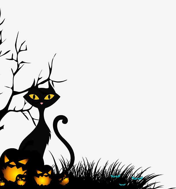 窝在草地上的黑猫