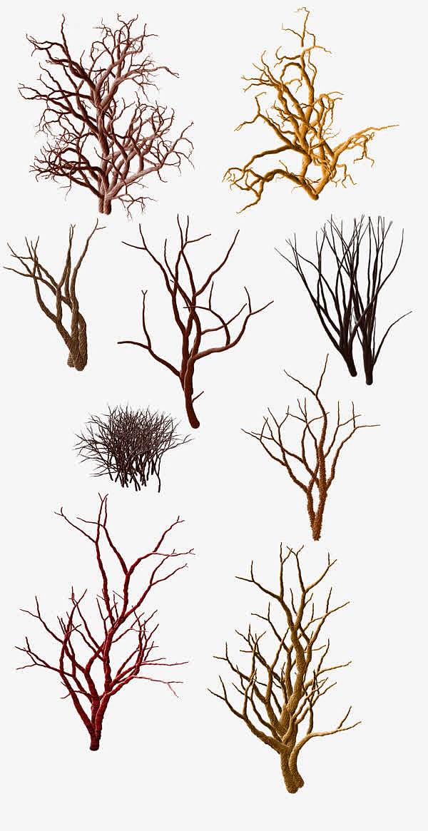褐色简约枯树装饰图案