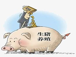 强力整合全产业链资源