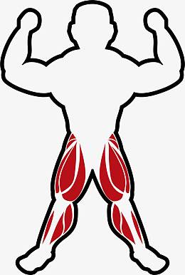 觅元素为您找到56个相关结果