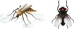 矢量手绘昆虫