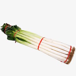 一捆大葱