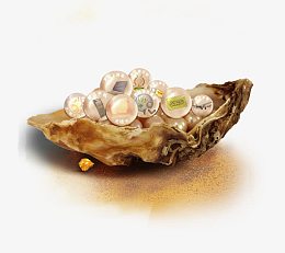 中国联通贝壳