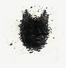 蝙蝠