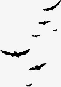 黑色蝙蝠素材免抠素材免费下载 觅元素51yuansu Com