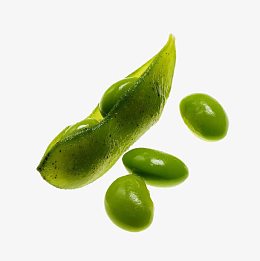 绿色黄豆豆荚