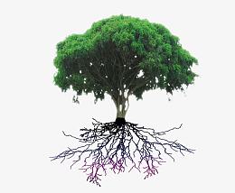 大树树根创意画