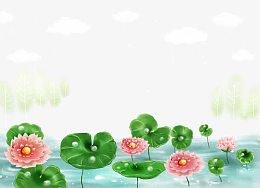 荷花