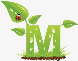 字母M