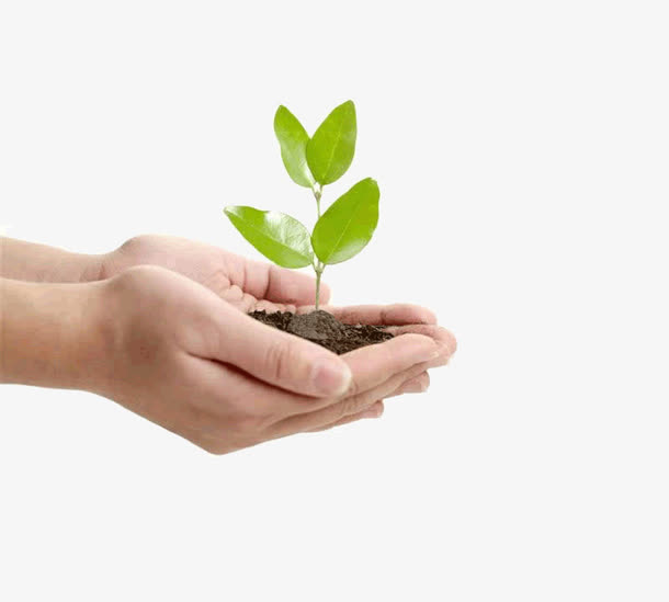 捧在手中的树苗免抠素材免费下载_觅元素51yuansu.com