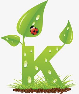 字母K