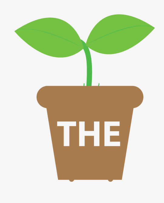 绿色小树苗花盆