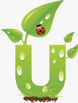 字母U