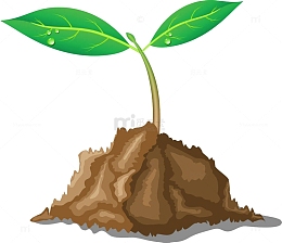 手绘植物种子